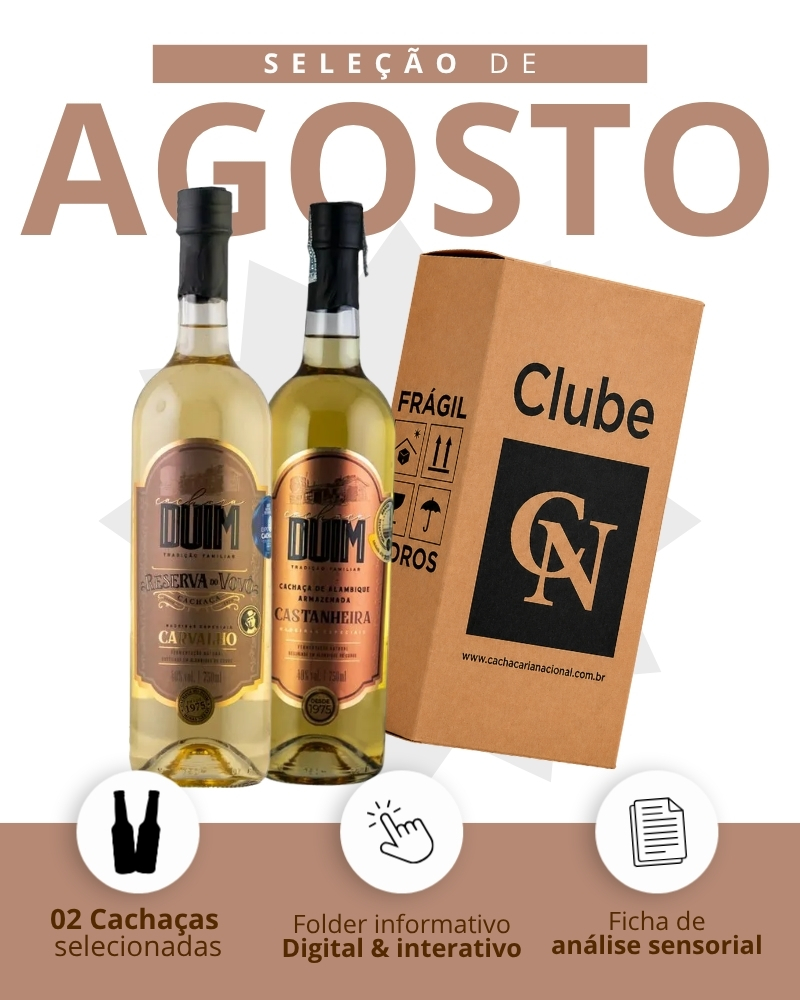 Kit detalhado - Mobile AGOSTO